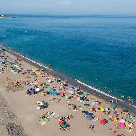 Magnolia 贾迪尼-纳克索斯